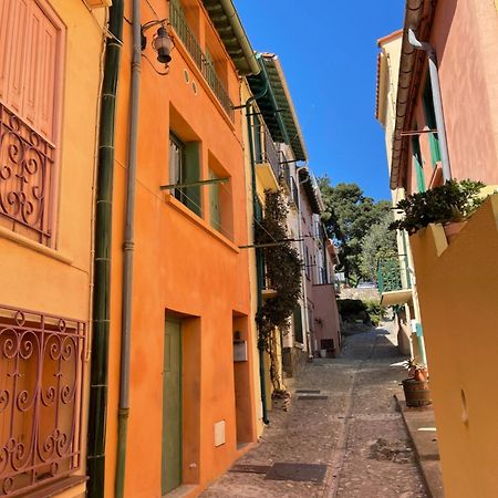 Appartement Dans Le Quartier Recherche Du Moure コリウール エクステリア 写真