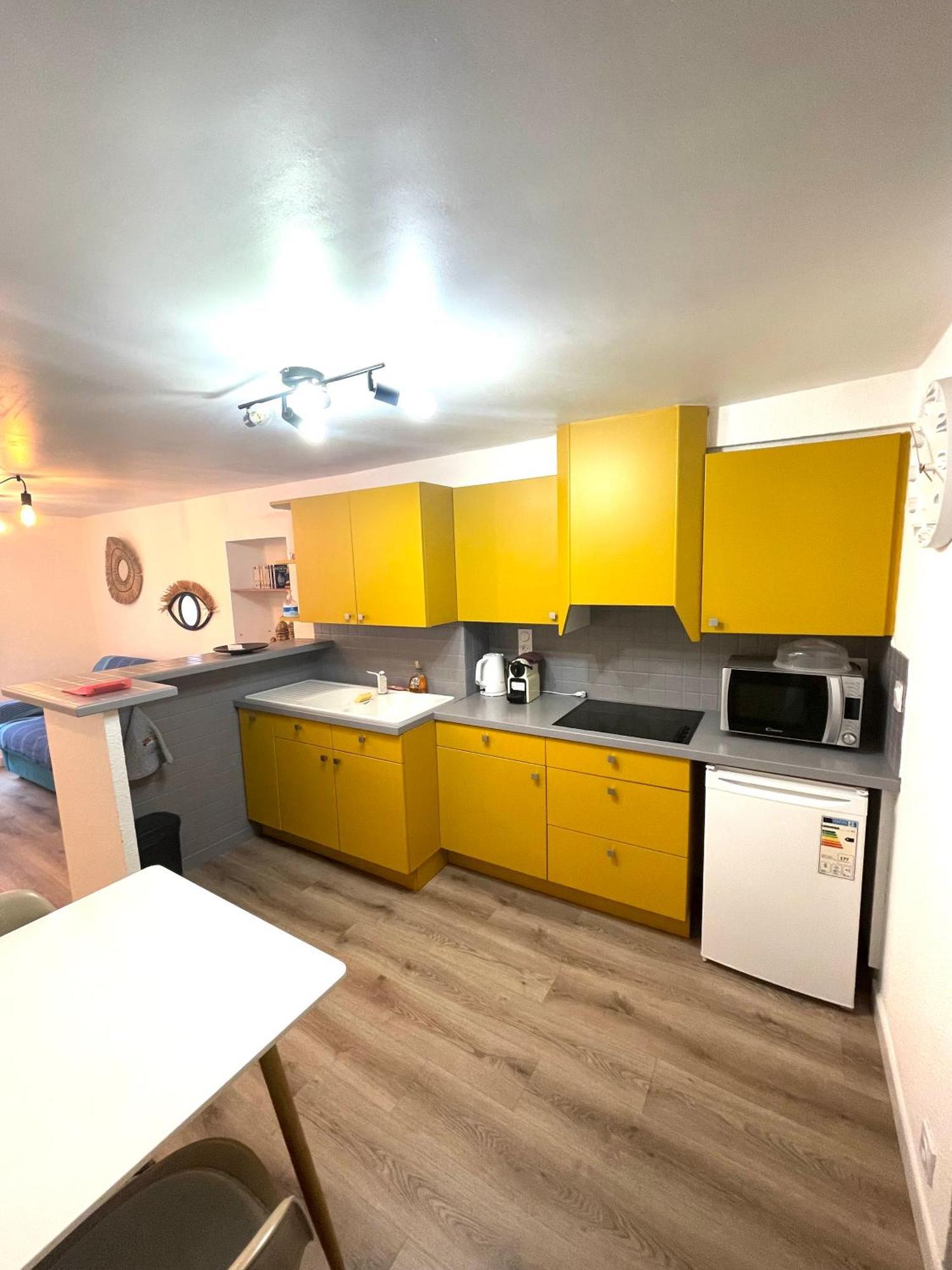 Appartement Dans Le Quartier Recherche Du Moure コリウール エクステリア 写真